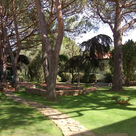 Hotel Marelba كافو المظهر الخارجي الصورة