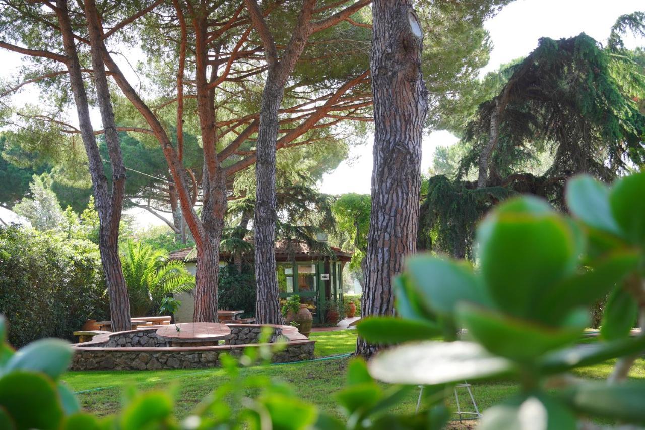 Hotel Marelba كافو المظهر الخارجي الصورة